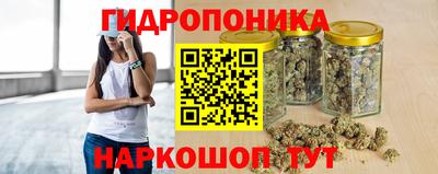 крисы Краснодар