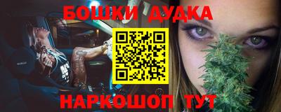 крисы Краснодар