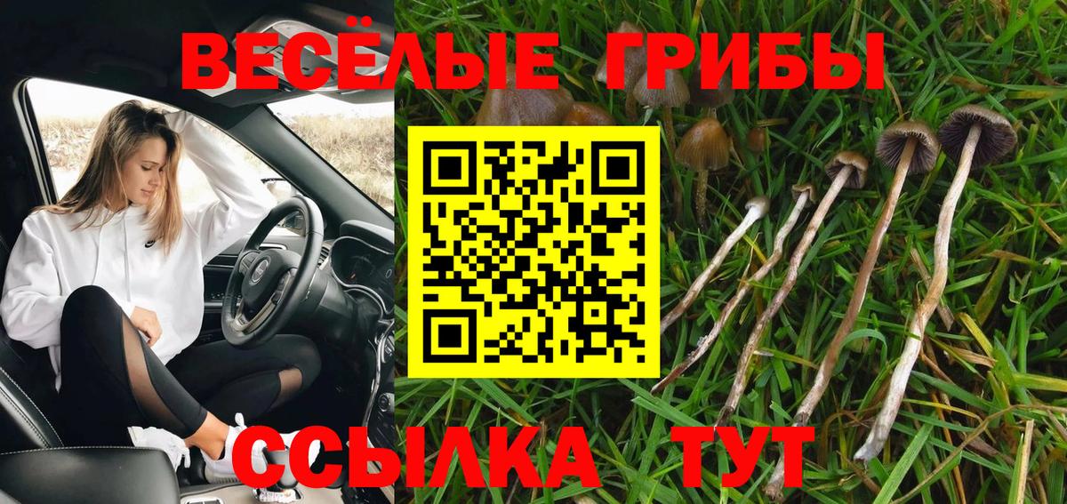 Галлюциногенные грибы прущие грибы  купить наркотик  Киржач  Вход с VPN 