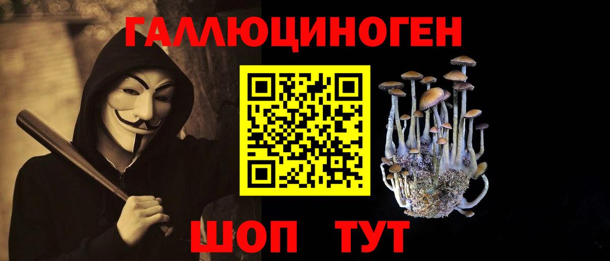 Галлюциногенные грибы Psilocybine cubensis Киржач